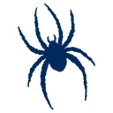 Richmond Spiders