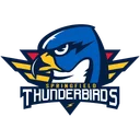 Springfield Thunderbirds